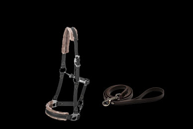 HALTERS & LEADS