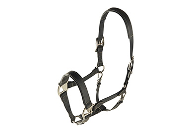 Tekna halter with buckles at both sides